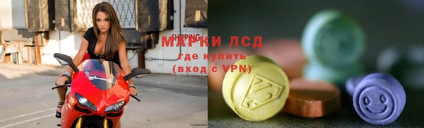 ПСИЛОЦИБИНОВЫЕ ГРИБЫ Богородицк